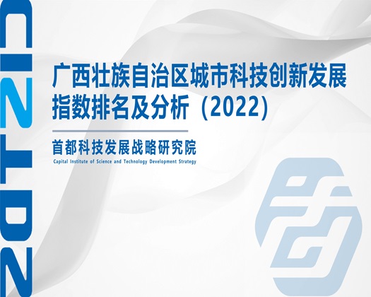 非洲男人日女人黄片【成果发布】广西壮族自治区城市科技创新发展指数排名及分析（2022）